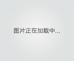 一场美丽的邂逅（一场美丽的邂逅）第1张